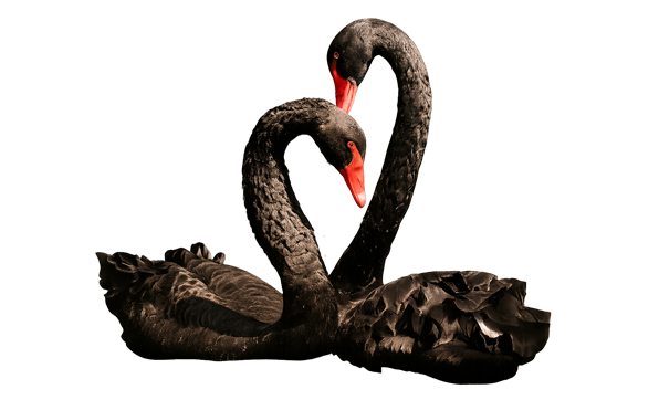 Psihoterapie de cuplu - FlexiMind - servicii psihologie online si/sau fizic